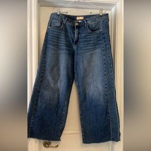 Kut from the Kloth Meg Fab Ab Wide Leg- Runs Large